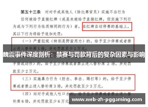 魏震事件深度剖析：禁赛与罚款背后的复杂因素与影响