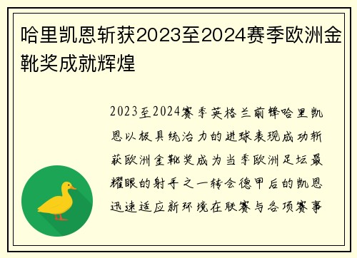 哈里凯恩斩获2023至2024赛季欧洲金靴奖成就辉煌 哈里凯恩斩获2023至2024赛季欧洲金靴奖成就辉煌