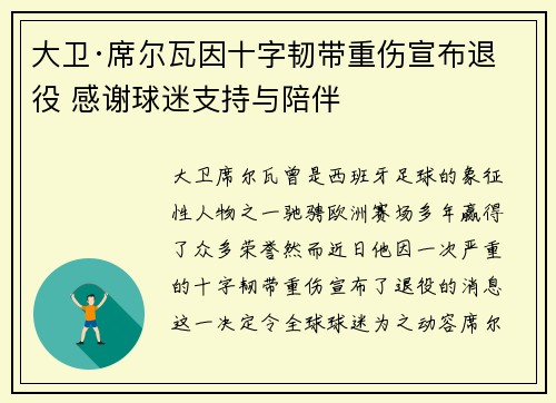 大卫·席尔瓦因十字韧带重伤宣布退役 感谢球迷支持与陪伴